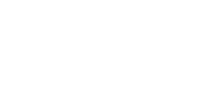 Wadhwani Foundation